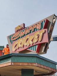 Image result for Cherry Tree Cricket Club