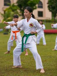 Image result for Beeches Martial Arts