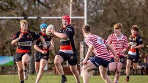 Image result for Crewe & Nantwich Rugby Union Football Club