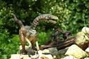 Compsognathus Dinosaurs, Dino Gallery, Photos, Art, Posters, Types ...
