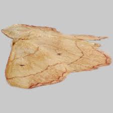 Attēlu rezultāti vaicājumam “Idaea emarginata”