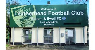 Image result for Leatherhead Football Club