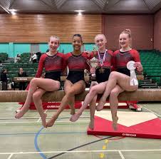 Image result for Tamworth Olympic Gymnastics Club
