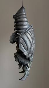 Attēlu rezultāti vaicājumam “Lindbladia tubulina spores”