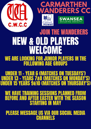 Image result for Carmarthen Wanderers Cricket Club