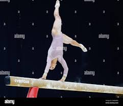 Image result for Tolworth Gymnastics Club