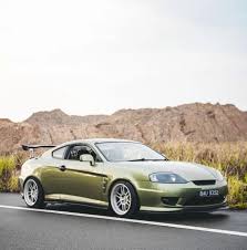 Image result for tuscani tibu...start=0