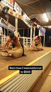 Image result for Charville Chasers