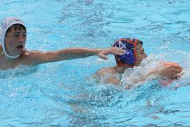 Image result for Invicta Water Polo Club