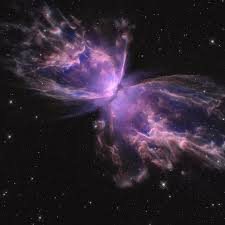 Attēlu rezultāti vaicājumam “Leptophlebia nebulosa”