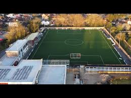 Image result for Dorking Wanderers F C
