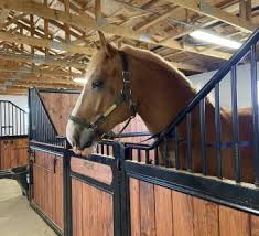 Image result for Carman Stables