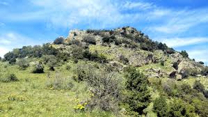 Attēlu rezultāti vaicājumam “Leporida”