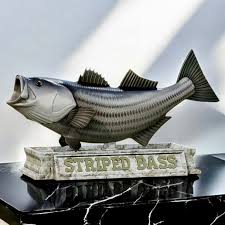 Image result for Morone saxatilis