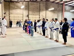 Image result for 210 JiuJitsu