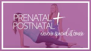 Image result for Postnatal Exercise Course