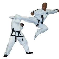Image result for Bytomic Tae Kwon Do Chalfont St Peter