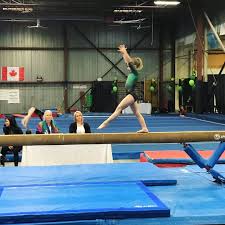 Image result for Forest Of Dean Gymnastics Club