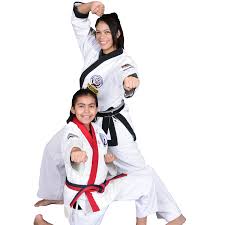 Image result for Alness Tang Soo Do