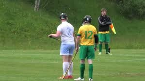 Image result for Skye Camanachd
