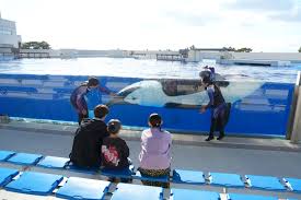 「海神往紗馳」の画像検索結果