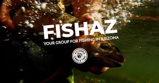 Image result for Ashurst WI*