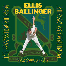 Image result for Ynysygerwn Cricket Club