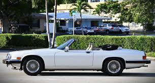 Image result for Tuscany Bronze 1991 Jaguar