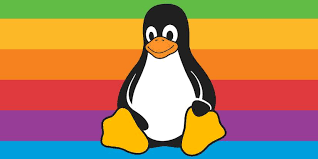 Image result for linux tux
