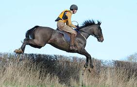 Image result for Cambridge University Riding Club