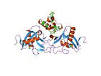 Gla Domain of <b>Factor IX</b>