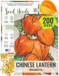 Image result for Physalis alkekengi