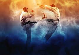 Image result for Thames Valley Karate
