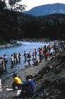 Combat fishing contest public - via Daymix
