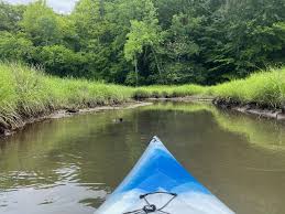 Image result for Martlet Kayak Club