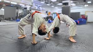 Image result for Alpha Judo Club