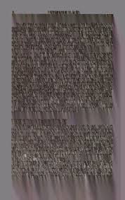 Attēlu rezultāti vaicājumam “Hoplia parvula imago”