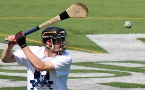 Image result for hurling