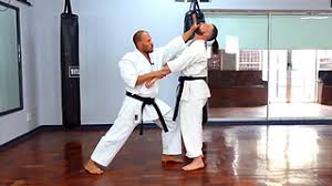 Image result for North Yorkshire Goju Ryu Karate Club