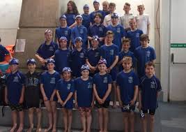 Image result for Aylesbury and District Sc