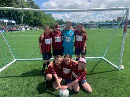 Image result for Didcot Ladies Casuals Football