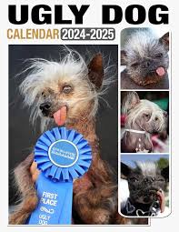 Image result for ugliest dog