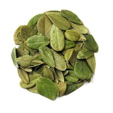 Attēlu rezultāti vaicājumam “Vaccinium vitis-idaea leaf”