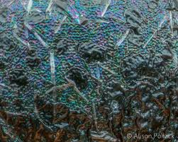 Attēlu rezultāti vaicājumam “Lamproderma ovoideum stalked”