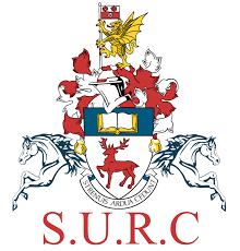 Image result for Southampton University Tchoukball Club