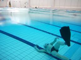 Image result for Croydon Wimbledon Octopush Club