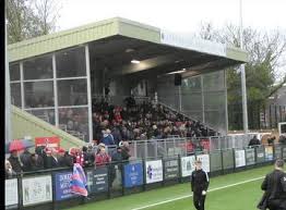 Image result for Dorking Football Club Limited