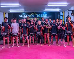 Image result for BERKSHIRE TIGERS THAI