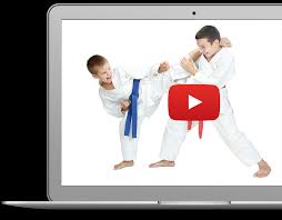 Image result for Southill Karate Club