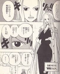 「ヒナ ONE PIECE」の画像検索結果